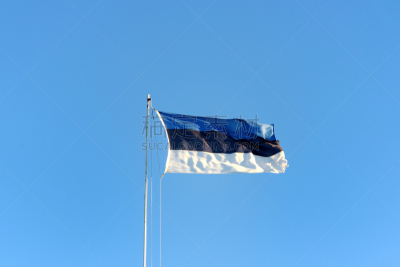 天空,爱沙尼亚,特写,海洋,风景,传统,国内著名景点,纺织品,风,小的