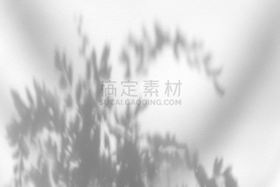 白色,阴影,夏天,黑色,围墙,背景,纹理效果,树,摄影