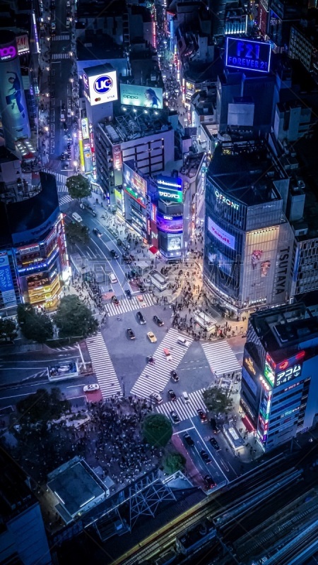 Shibuya scramble square 屋上