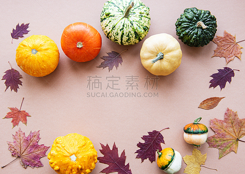 南瓜 褐色背景 光 农业 蔬菜 华丽的 十月 清新 多样图片素材下载 稿定素材