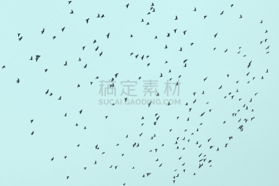 天空,一群鸟,代表,背景分离,自由,风,野生动物,环境,天气,翅膀