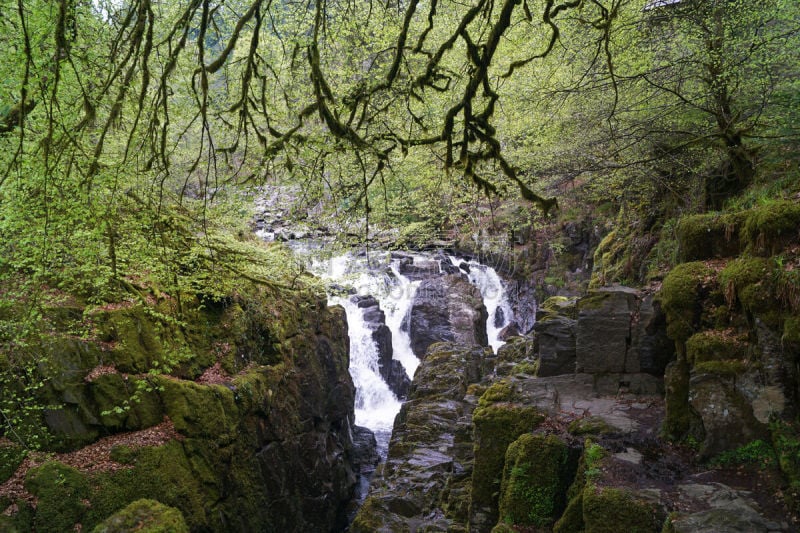 敦克尔德,river braan,黑色,冬宫博物馆,英国国家信托基金,环境,英国,著名景点,自然美,河流