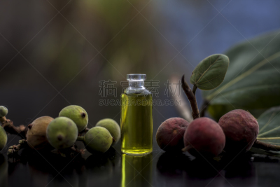 专心,菩提树,水果,叶子,水平画幅,黑色背景,平视角,小的,特写,瓶子