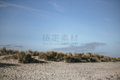 海滩,海洋,威廉港