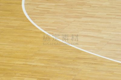 羽毛球,球场,手球,室内,篮球运动,健身房,式样,排球运动,光效果,硬木地板