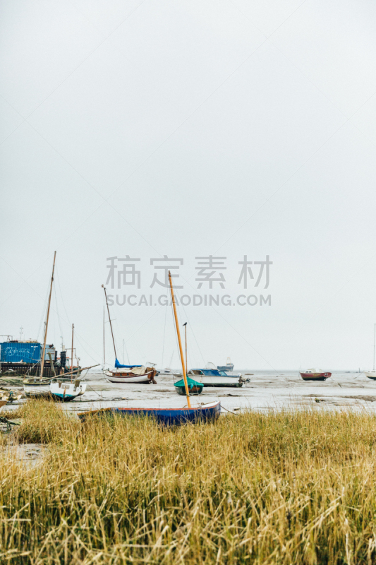 海洋,英国,海岸线,leigh harbour,艾塞克斯大学,滨水,垂直画幅,桅,图像,草