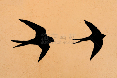 燕子,两只动物,自然,自由,野生动物,图像,北美歌雀,一群鸟,鸟类,翎毛