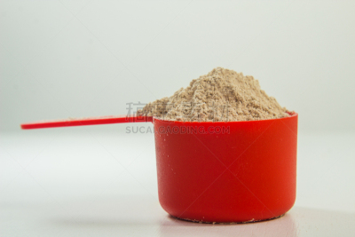 蛋白质,人类肌肉,过大的,乳清,举重训练,健康保健,配方,营养品,食品,塑形