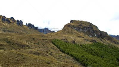 森林,山,菜园,阿苏艾省,草原,拉丁美洲,图像,国家公园,厄瓜多尔,枝繁叶茂