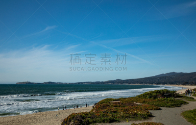 雀科,雄性动物,美国西北太平洋地区,自然,家雀,图像,一只动物,北美歌雀,美国