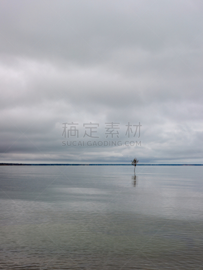 水,蛤蚌,海港,浅的,一个物体,岩石,马萨诸塞,云景,站,树