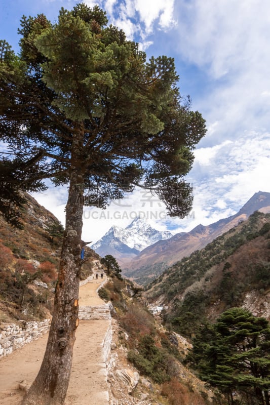 徒步旅行,尼泊尔,珠穆朗玛峰,大本营,导游,旅行者,地形,灵感,动机