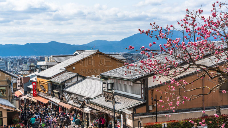 春天,日本,京都府,圆石,祗园,樱桃树,行人,户外,建筑,木制