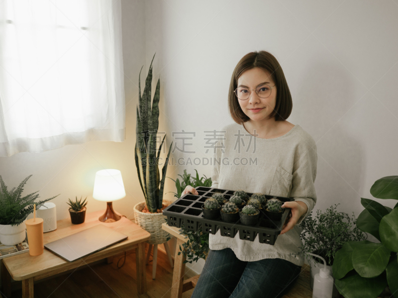仙人掌,园艺,女性,家庭生活,锅,看,农业,仅日本人,喷雾瓶,泰国