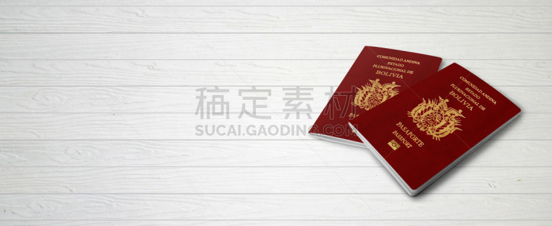 玻利维亚,绘画插图,护照,留白,网站横幅,线条,三维图形,背景聚焦,木制