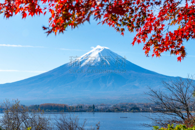 枫叶,湖,富士山,日本,山,山梨县,旅行者,一个物体,斑点,雪