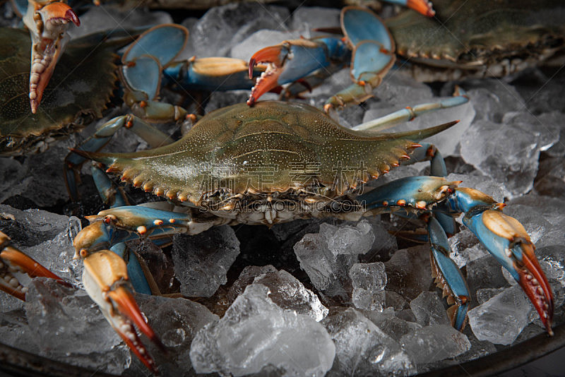 切萨皮克湾,蓝蟹,碎冰,活力,篮子,背景分离,食品,腿,动物,贝壳