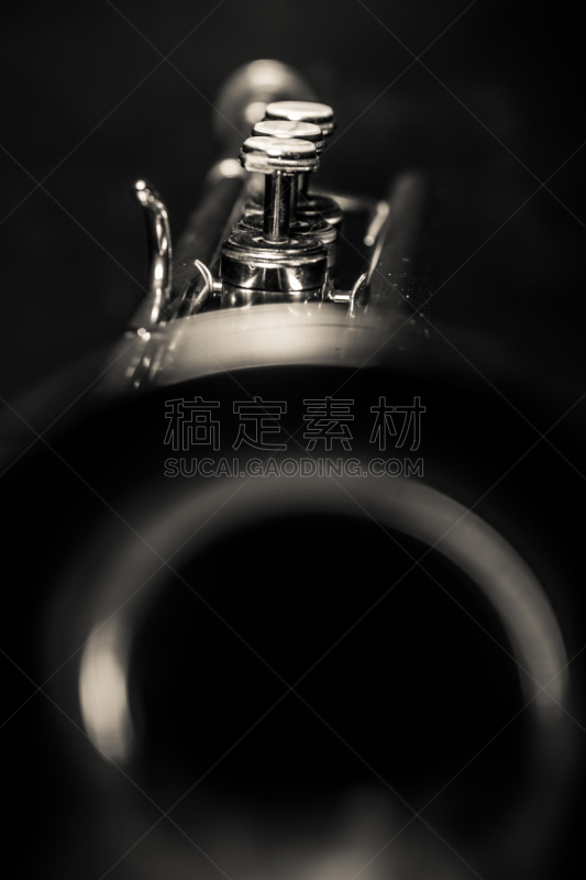小号,粗管短号,垂直画幅,留白,无人,噪声,古典式,金属,特写,乐器