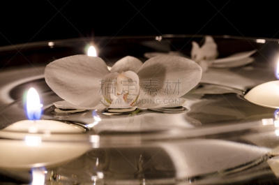 水,兰花,白色,蜡烛,蝴蝶兰,美,留白,度假胜地,水平画幅,健康