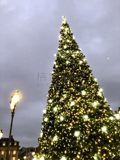 Christmas tree on place Vendôme in Paris