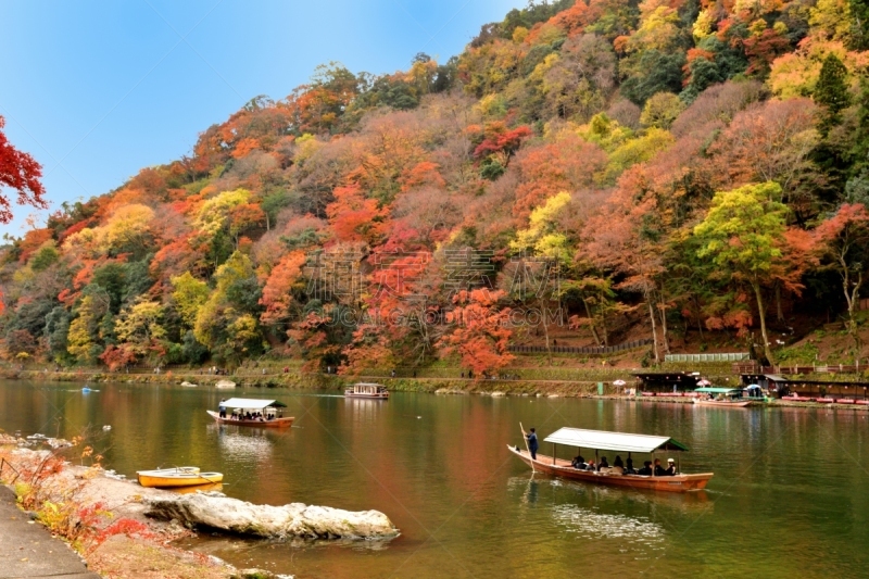 京都府,岚山,日本,秋叶色,居住区,大井河,京都市,植物,河流,嵯峨野