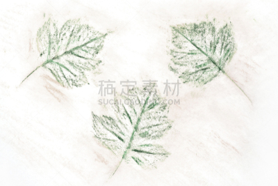 Texture of pencil plant patterns and lines. Stylish background for design, décor, cover, flyer, poster, wallpaper.