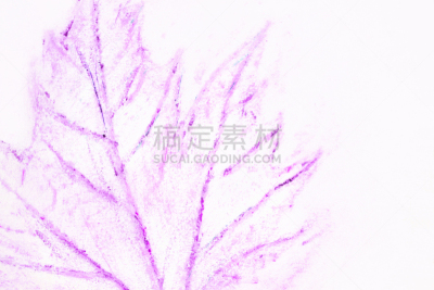 Texture of pencil plant patterns and lines. Stylish background for design, décor, cover, flyer, poster, wallpaper.