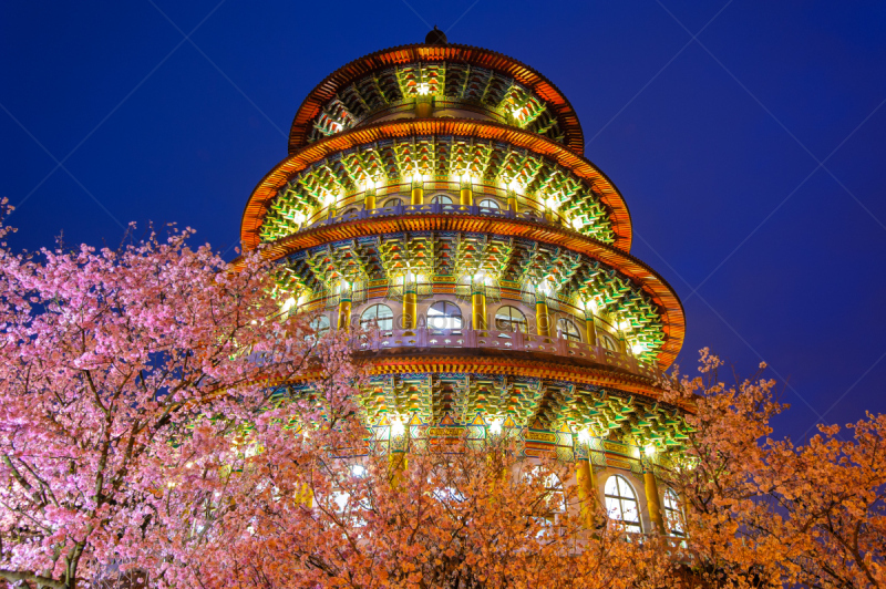 寺庙,台币,灵性,樱花,夜晚,过去,复杂,门厅,著名景点,纪念物