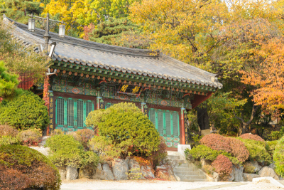 首尔,朝鲜半岛,寺庙,叶子,红松,秋天,水平画幅,建筑,城市天际线,户外