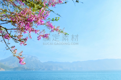 古典式,泉,泸沽湖,纳西族,云南省,四川省,水,天空,高视角,纯净