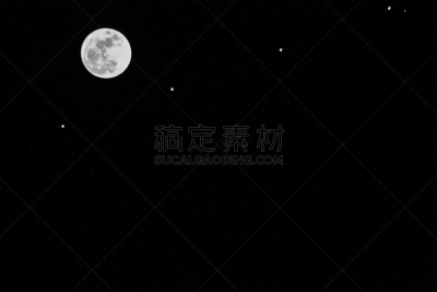 纽约,街道,国际著名景点,雪,布鲁克林桥,动物,春天,户外,都市风景