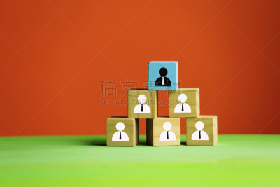 概念,职业,技能,专业人员,策略,候选人,现代,与众不同,教练,商业金融和工业