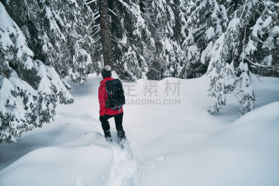 雪,女人,小路,户外,自然,徒步旅行,可爱的,有钱人,白色人种,做