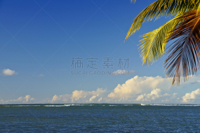 波多黎各,海滩,加勒比海,墨西哥湾暖流,圣胡安,格兰德河,水,天空,度假胜地,水平画幅