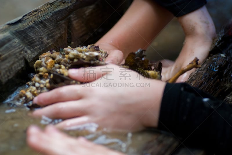 水,儿童,进行中,达姆广场,休闲活动,水平画幅,手牵手,想法,河流,谚语