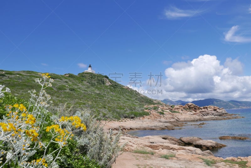 科西嘉,阿雅克修,赤血岛,岛,南,几乎,旅游目的地,伦敦城,法国,山口