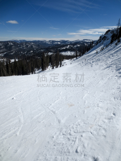 沃尔夫河,滑雪坡,山脉,长的,帕格萨斯普林斯,育空地区,滑雪痕,滑雪场,滑雪度假,垂直画幅