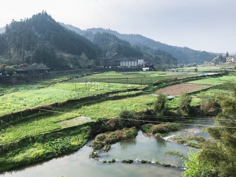 田地,河流,风景,稻,三江,水稻梯田,灌溉设备,稻田,运河,水