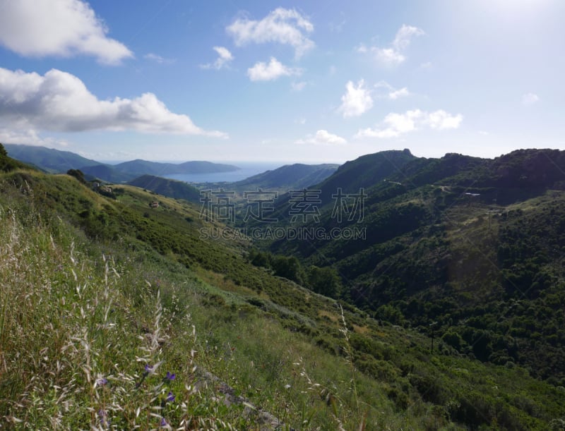 科西嘉,阿雅克修,岛,赤血岛,几乎,旅游目的地,伦敦城,南,法国,山口