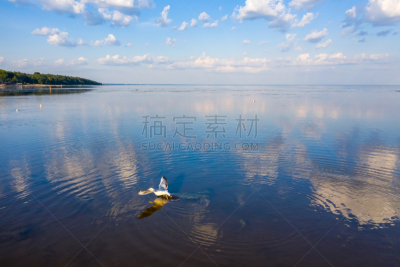 水,汽车视镜,浅的,芬兰海湾,深的,云景,环境,云,水面,鸟类
