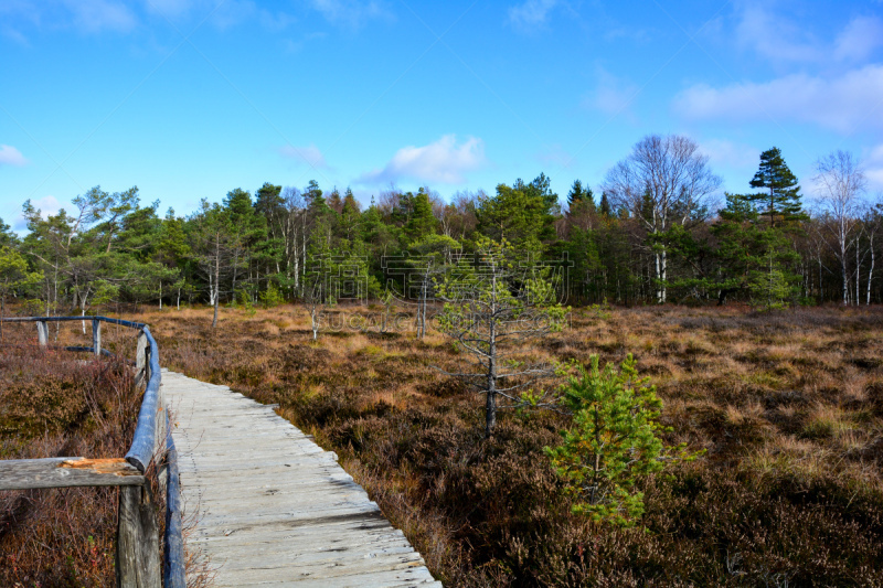 Black  moor with  path  in the Rhön, Bavaria, Germany, in autumn with blue sky