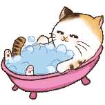 宠物猫洗澡可爱卡通动态贴纸