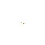 锦鲤附体泡泡字体动态贴纸