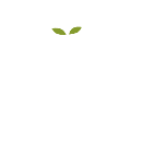 商品零售花字文字今日种草气泡清新风动态贴纸