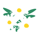 花草植物清新雏菊清新手绘风动态贴纸