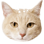 宠物橘猫脑袋疑惑可爱动态贴纸