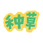 商品零售促销种草文字创意动态贴纸