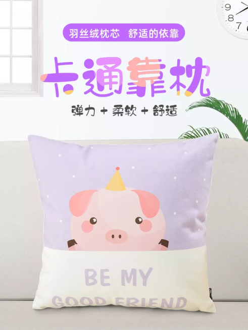 日用品/抱枕/直通车主图预览效果