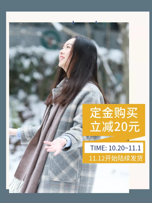双十一预售定金女装秋上新微淘主图预览效果