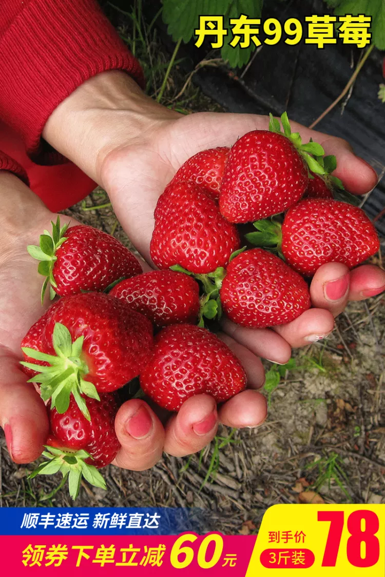 实景食品生鲜水果草莓直通车主图预览效果